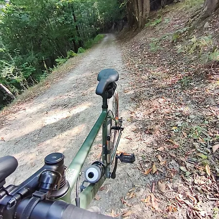 Grande Maison De Avec Jardin Hébergement de vacances